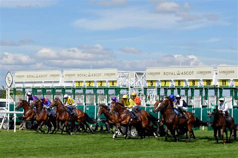royal ascot handicaps|Duke Of Edinburgh Stakes Handicap Racecard .